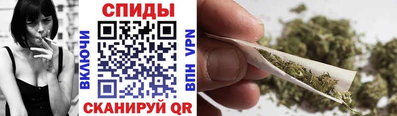 Купить Новотроицк БУТИРАТ буратино