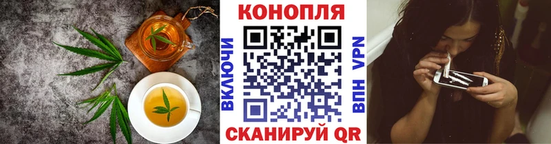 Купить закладки Новотроицк Cannafood конопля