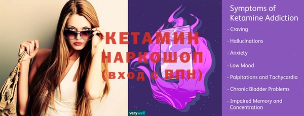 молекула духа Арсеньев