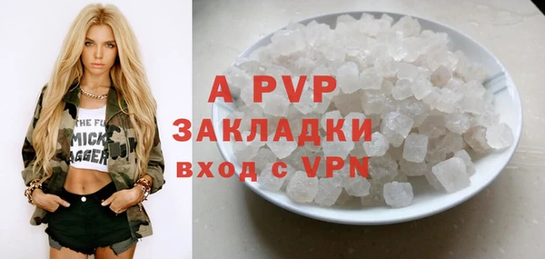 молекула духа Арсеньев