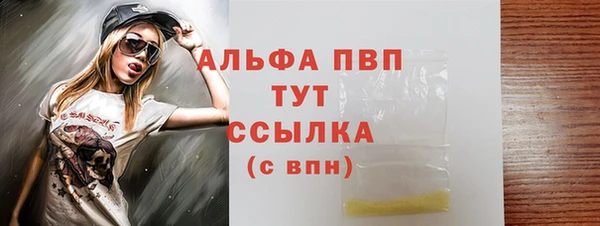 молекула духа Арсеньев