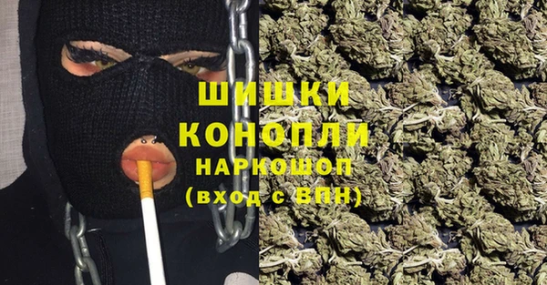 молекула духа Арсеньев