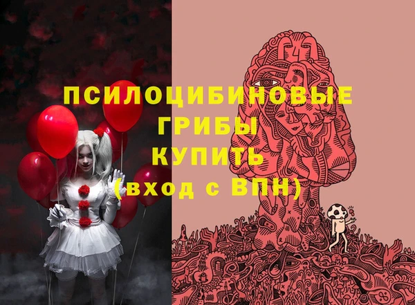 Альфа ПВП Армянск