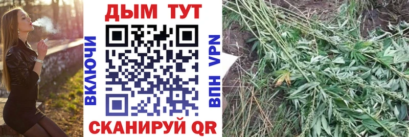 Купить закладки  Новотроицк  Каннабис Ganja 